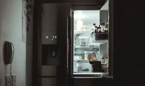 kulkas freezer